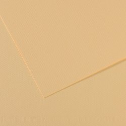 Papier dessin canson feuille mi-teintes n 407 grain        gelatine haute teneur coton   160g 50x65cm unicolore lichen