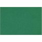 Feuille MI-TEINTES® 50X65 160g vert billard 575