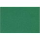 Feuille MI-TEINTES® 50X65 160g vert billard 575