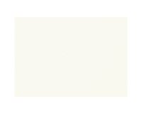 Papier dessin canson feuille mi-teintes n 335 grain        gelatine haute teneur coton   160g 50x65cm unicolore blanc