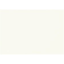 Feuille MI-TEINTES® 50X65 160g blanc 335