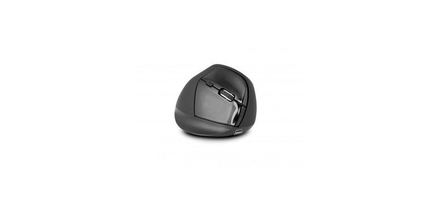 Urban Factory Ergo PRO ratón Oficina Mano derecha RF inalámbrico Óptico 2400 DPI