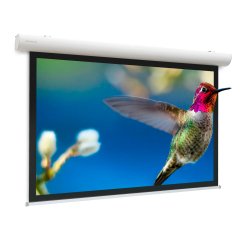 Projecta Elpro Concept Wide Format - projection screen - 153" (389 cm)