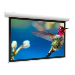 Da-Lite Elpro Concept écran de projection 3,89 m (153") 16:10