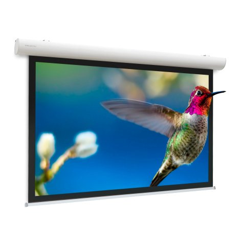 Da-Lite Elpro Concept écran de projection 3,89 m (153") 16:10