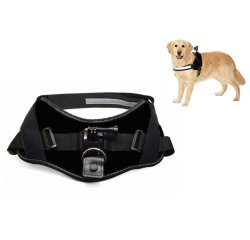 ACTIVEON ACM09DV accessoire de caméra sportive d'action Harnais pour chien de caméra
