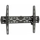 Reflecta 23141 TV mount/stand 152.4 cm (60") Black