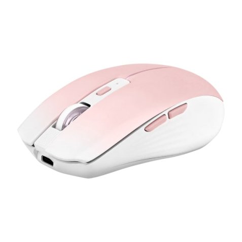 Souris Tnb GRADIENT - Souris sans fil rechargeable DUAL CONNECT - rose