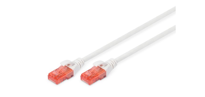 Digitus Cabe de conexión CAT 6 U/UTP- LSZH