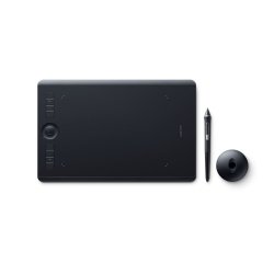 Wacom Intuos Pro M South tableta digitalizadora Negro 5080 líneas por pulgada 224 x 148 mm USB/Bluetooth