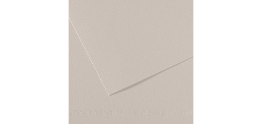 Papier dessin canson feuille mi-teintes n 120 grain gelatine haute teneur coton 160g 50x x65cm unicolore gris perle
