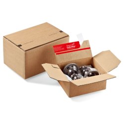 Carton à fond automatique avec une fermeture