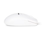 Hamlet XMICEU2WH-OEM mouse Universal Ambidextrous USB Type-A Optical 1000 DPI