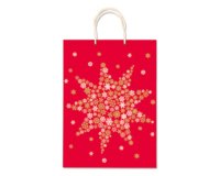 Saul Sadoch Rex SDN30410F carta da regalo Sacchetto regalo
