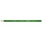 Crayons staedtler noris colour 185 coloris vert clair pochette de 12