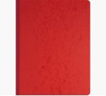 Piqûre 32x25cm à tête paresseuse 8 colonnes sur 1 page - 31 lignes - 80 pages - Couleurs assorties