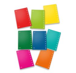 Pigna 022988710 writing notebook A4 42 sheets Multicolour