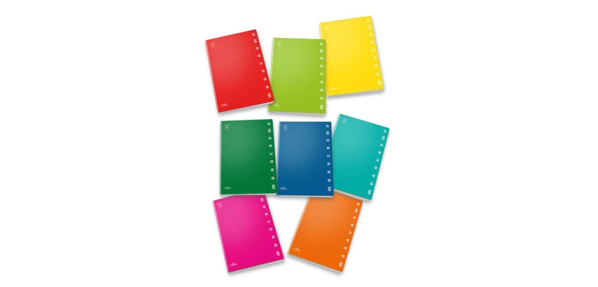 Pigna 022988710 writing notebook A4 42 sheets Multicolour
