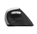 Rapoo EV250 mouse Ufficio Mano destra RF Wireless Ottico 1600 DPI