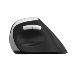 Rapoo EV250 mouse Ufficio Mano destra RF Wireless Ottico 1600 DPI
