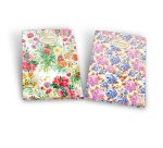 Pigna 02303643L folder Multicolour