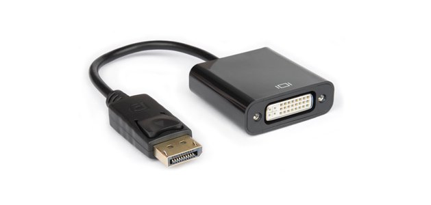 Hamlet XVADP-DV cavo e adattatore video DisplayPort DVI Nero
