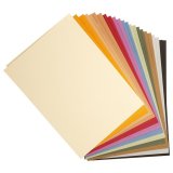 Tulipe rame 24F 50x65cm 160g - Assortiment pastel