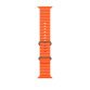 Apple MT653ZM/A slimme draagbare accessoire Band Oranje Fluorelastomeer, Titanium