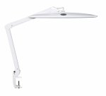 MAUL Work LED desk lamp with adjustable intensity, white