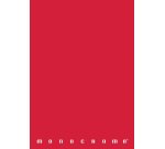 Pigna 02298915M writing notebook A4 Assorted colours