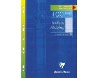 Feuillets mobiles de couleur sous étui A4 100 pages perforées grands carreaux