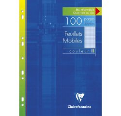 Feuillets mobiles de couleur sous étui A4 100 pages perforées grands carreaux