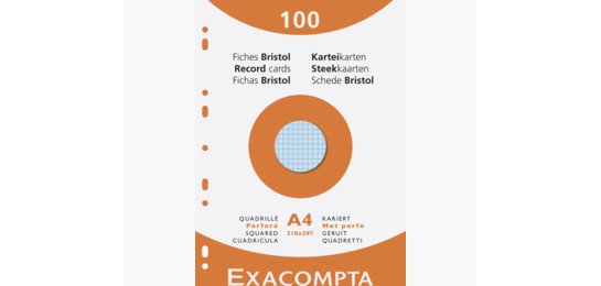 Étui de 100 fiches - bristol quadrillé 5x5 perforé 210x297mm - Couleurs assorties