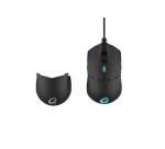 QPAD DX700 muis Gamen Ambidextrous USB Type-A Optisch 16000 DPI