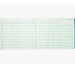 Manifold comptable exacompta piqué tête paresseuse 270x320mm horizontal 31 lignes 80 pages 24 colonnes/2 pages
