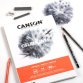 Canson Graduate Art paper 40 sheets