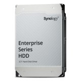 Synology Enterprise disque dur 20 To 7200 tr/min 512 Mo 3.5" Série ATA III