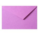 Tulipe rame 25F 50x65cm 160g - Lilas