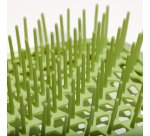Muitomas HAIRBRUSHGN spazzola e pettine Adulto Spazzola piatta Verde 1 pz
