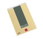 Pigna 0213748BI writing notebook A4 70 sheets Multicolour