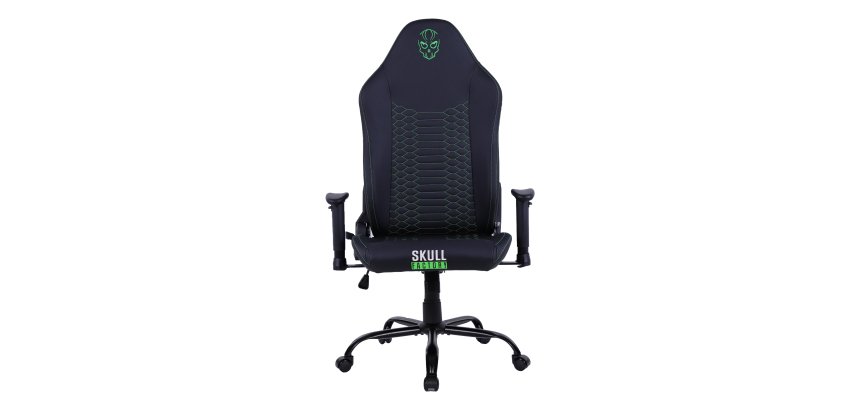 Skull Factory GAMING CHAIR MASTER