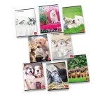 Pigna 8005235100435 quaderno per scrivere A4 42 fogli Colori assortiti