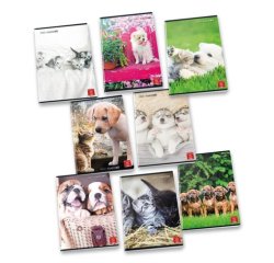 Pigna 8005235100435 quaderno per scrivere A4 42 fogli Colori assortiti