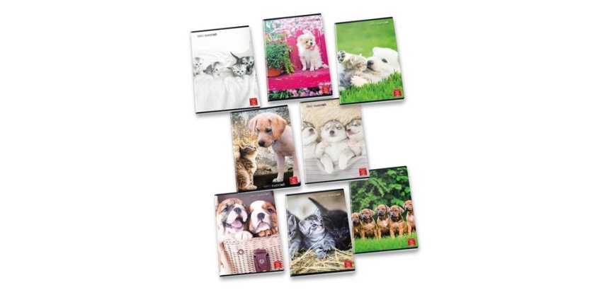 Pigna 8005235100435 quaderno per scrivere A4 42 fogli Colori assortiti