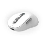 Port Designs PORT Connect 900707CW souris Bureau Droitier RF sans fil + Bluetooth