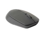 Rapoo M100 Silent mouse Ufficio Ambidestro RF senza fili + Bluetooth Ottico 1000 DPI