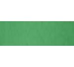 Cartoncino Bristol Color - 70 x 100 cm - 200 gr - verde 60 - Favini - conf. 10 pezzi
