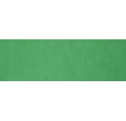 Cartoncino Bristol Color - 70 x 100 cm - 200 gr - verde 60 - Favini - conf. 10 pezzi
