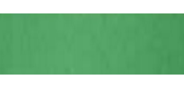 Cartoncino Bristol Color - 70 x 100 cm - 200 gr - verde 60 - Favini - conf. 10 pezzi