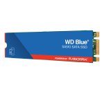 Western Digital Blue WD SA510 1 To M.2 Série ATA III